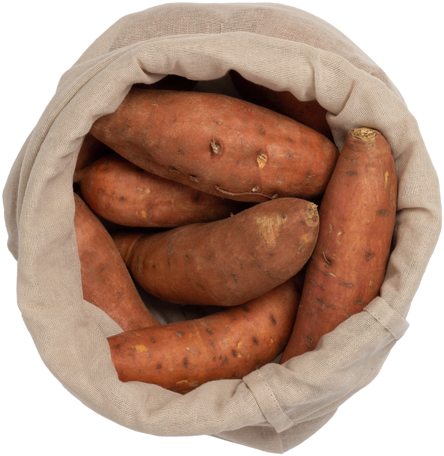 Food bag large Beutel