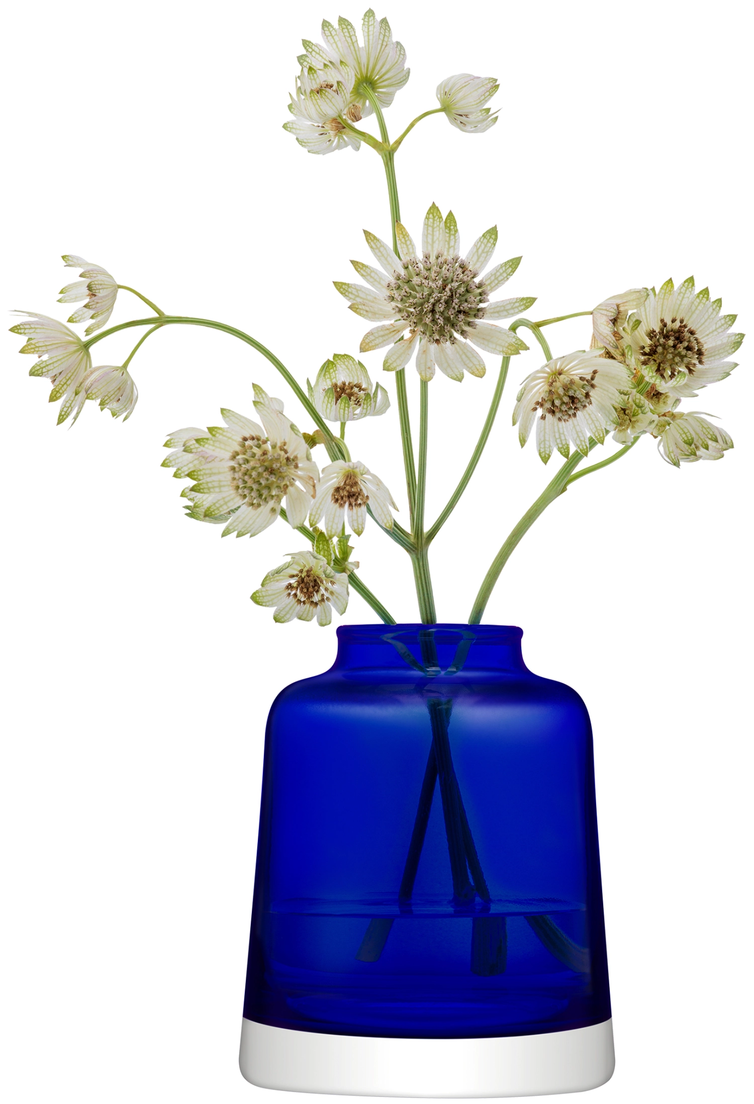 Collective vase
