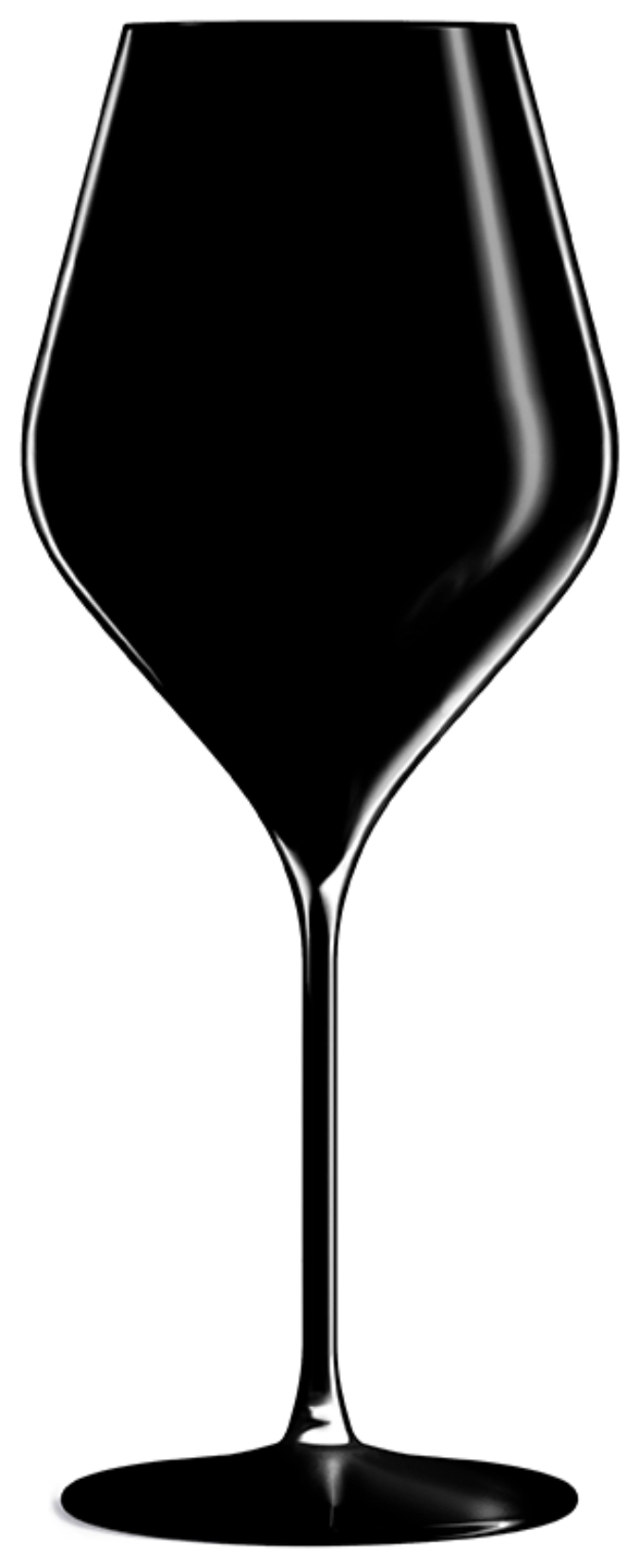 Absolus verre universel noir