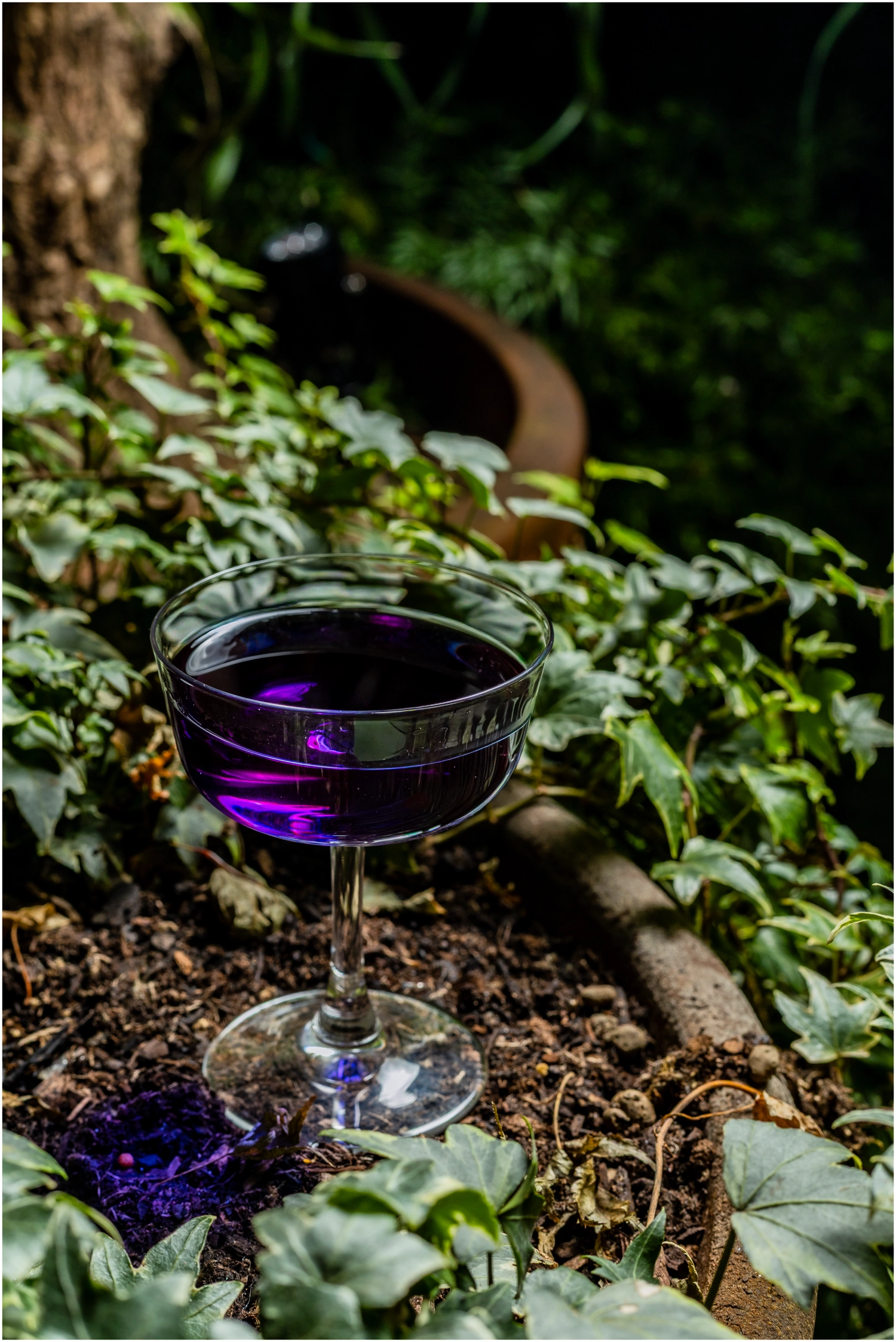 6er Set Classic Bar Fizz Coupe