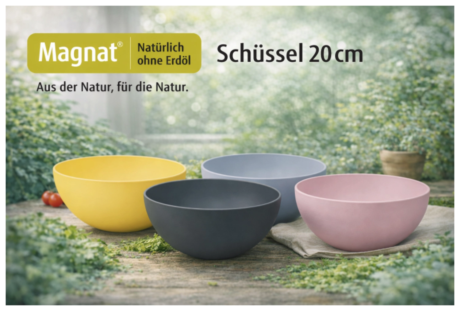 Schüssel