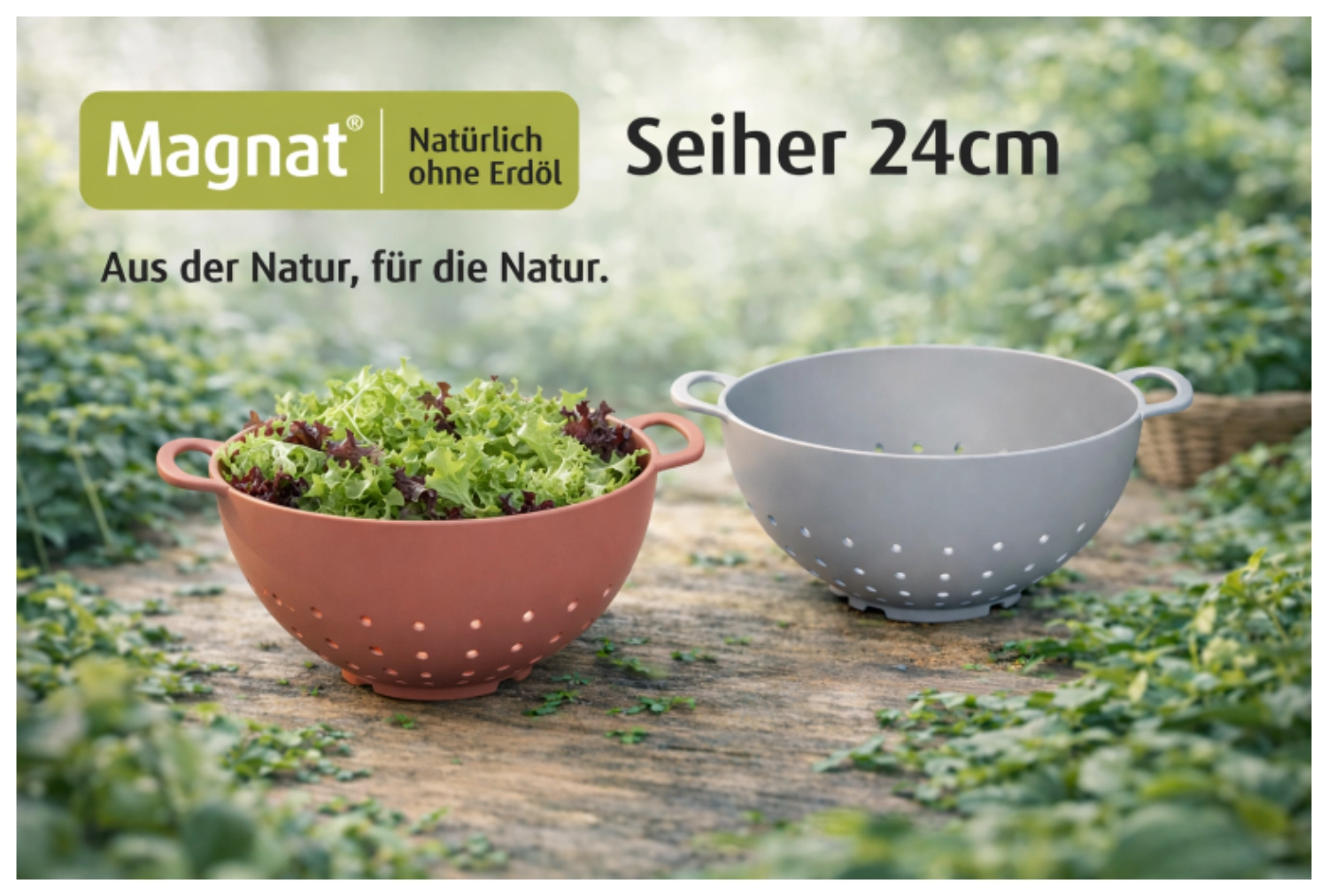 Salatsieb