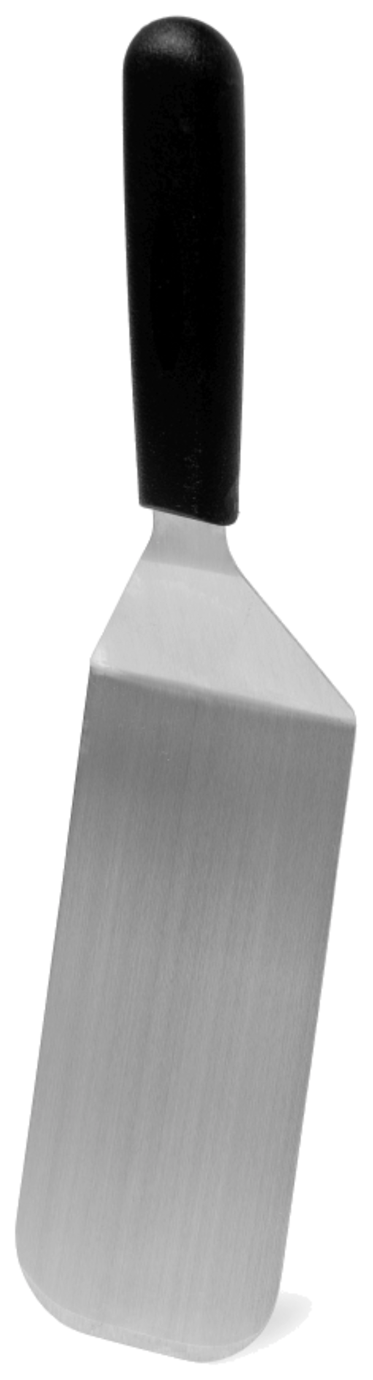 Spatule à poisson biseautée