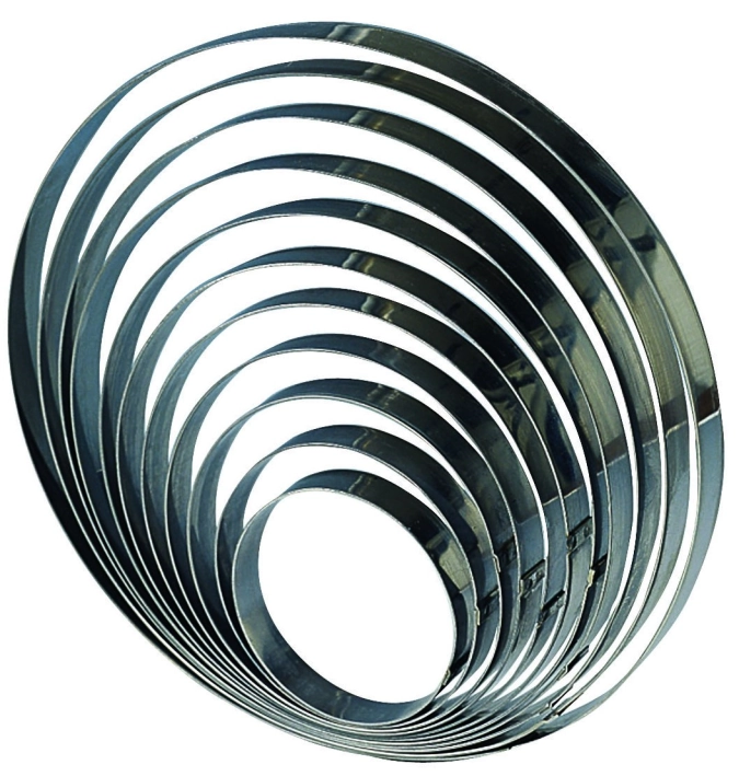 Anneaux en acier inoxydable