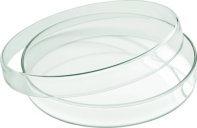 Bol en verre plat avec couvercle Playground