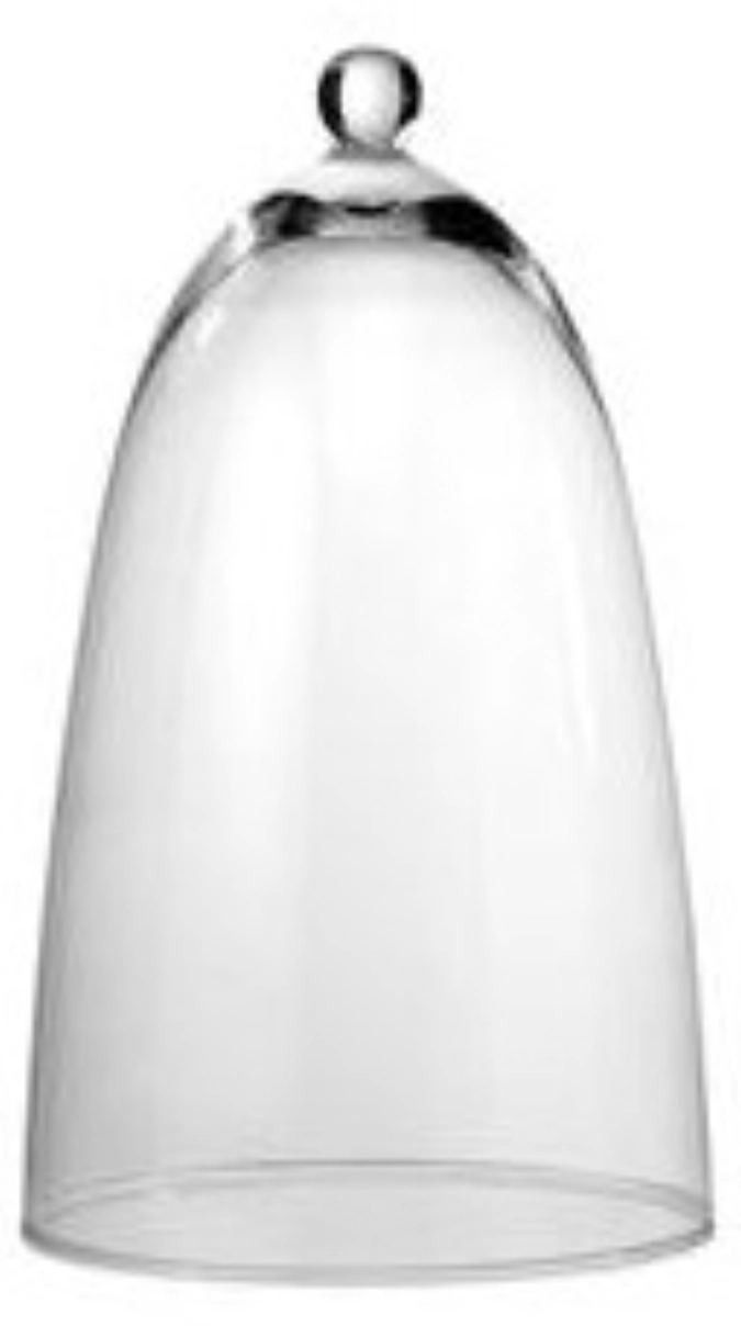 Cloche en verre ronde transparente